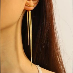 New Gold Tone Stainless Steel Dangling Tassel Long Back Earrings Unique Fancy